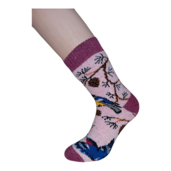 Носки Сартэкс женские Ш-22 роз. р.23-25